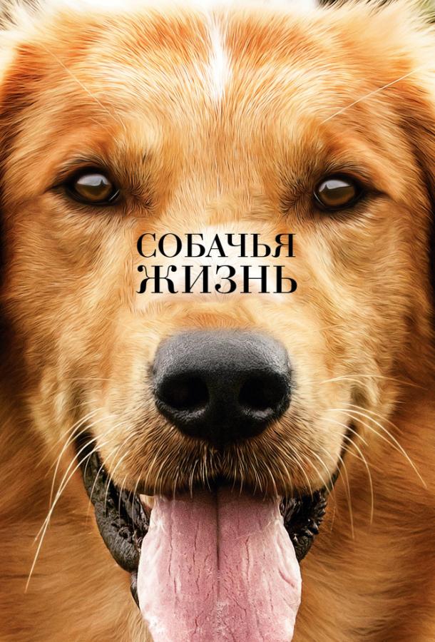 Фильм Собачья жизнь (2017) смотреть онлайн